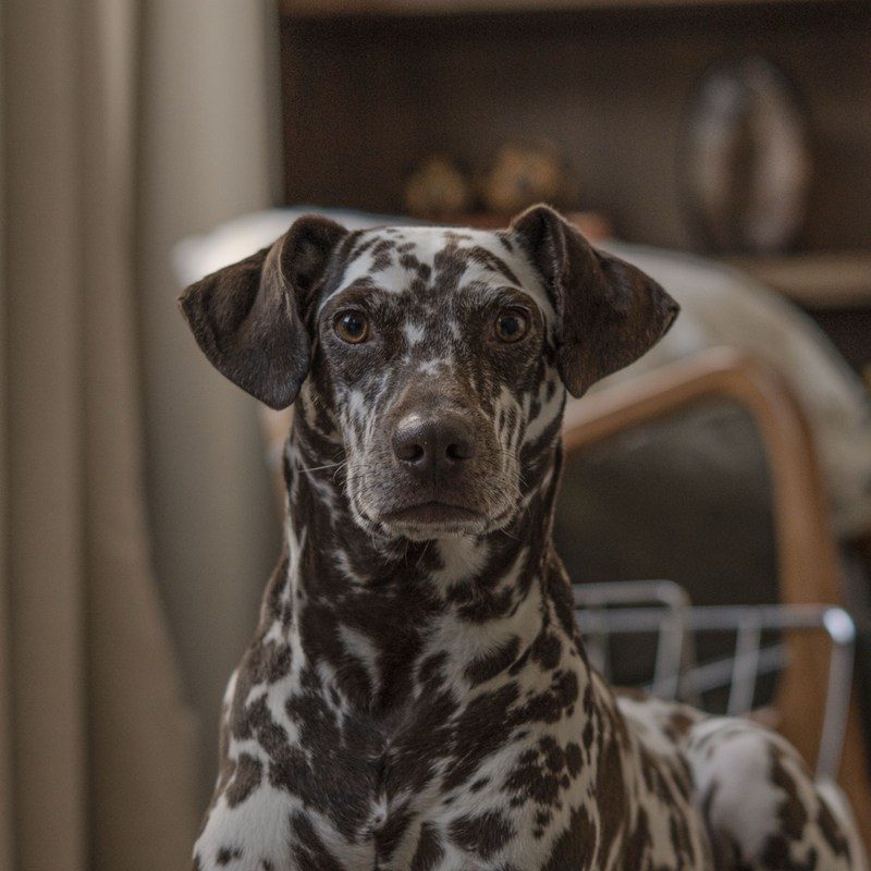 Maggie