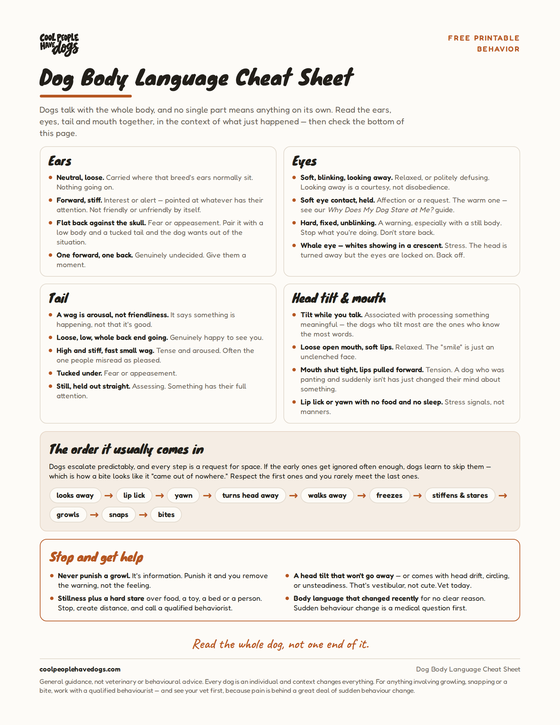 The first page of the Body Language Cheat Sheet printable