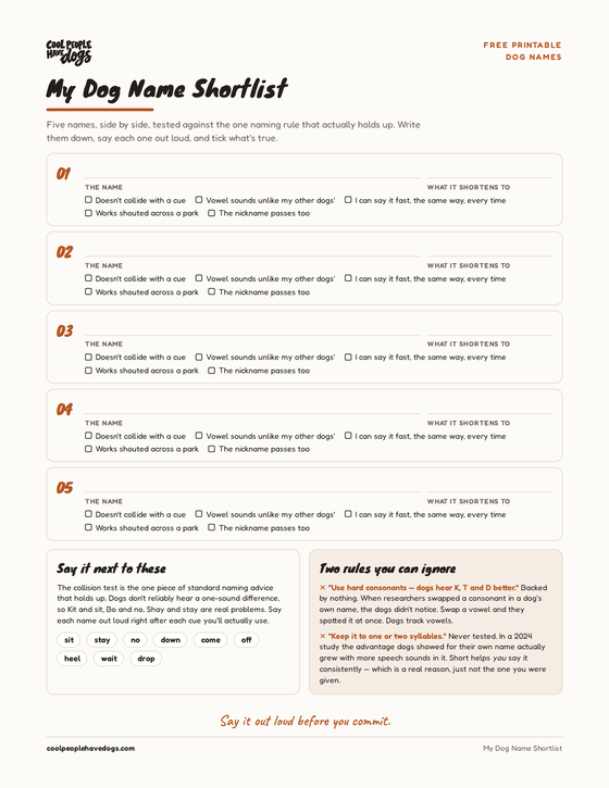 The first page of the My Dog Name Shortlist printable