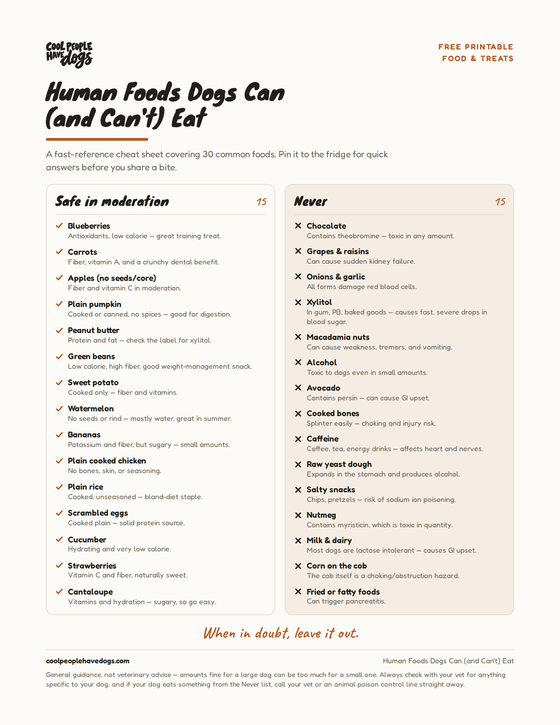 The first page of the Human Foods Dogs Can (and Can't) Eat printable